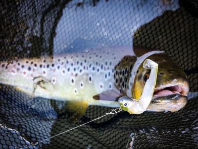 Успешно откриване на пъстървовия сезон 2020